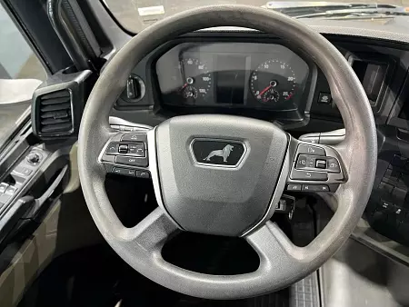 MAN TGX, 2021